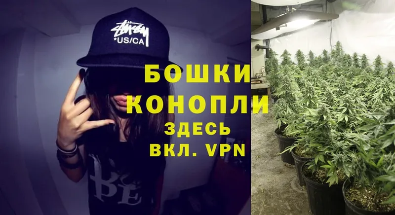 Конопля Ganja  наркотики  Всеволожск 